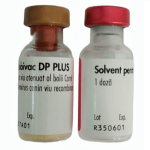 Вакцина для щенков Nobivac DP Plus против чумы и парвовируса 2 флакона 1 доза Nobivac срок 03.2027 Вакцина для щенков Nobivac DP Plus против чумы и парвовируса 2 флакона 1 доза Nobivac срок 03.2027