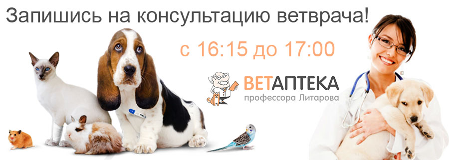 Ветаптека Севастополь Интернет Магазин
