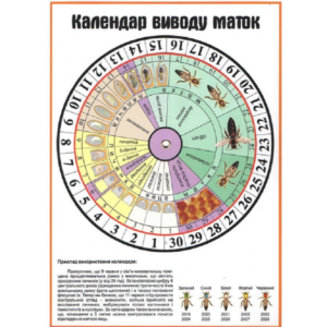 Календарь вывода маток 1621