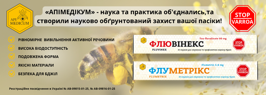 Главная