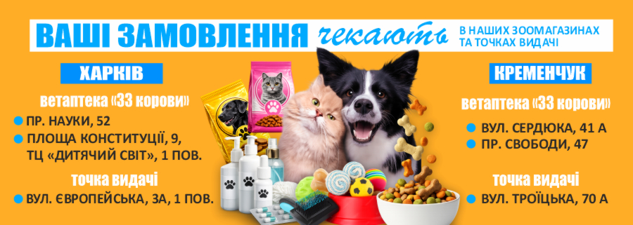 Главная Главная