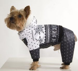 Одежда для собак йорков в интернет магазине, купить куртку на йорка недорого